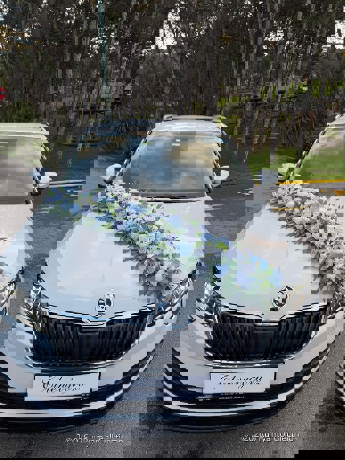 Rüya Araba Süsü 🦋