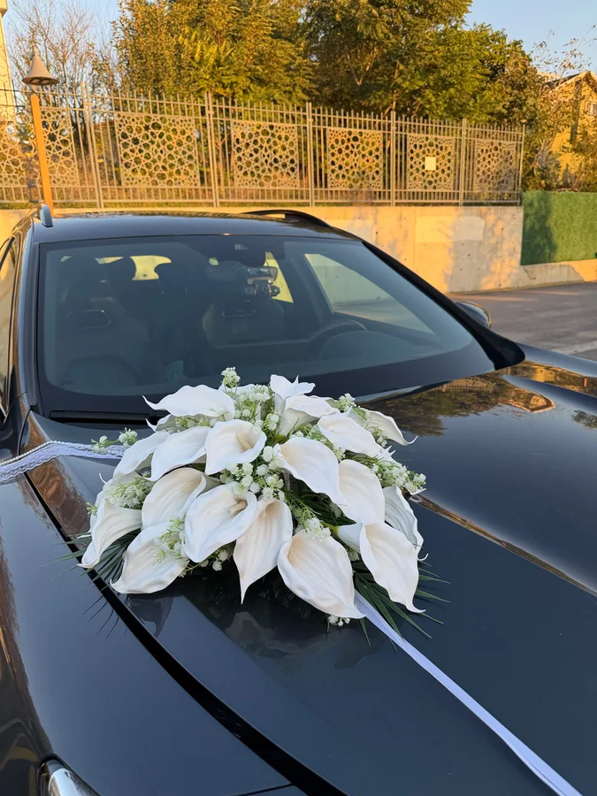 Mini Gala+Fiyonk Araba Süsü Seti 🤍
